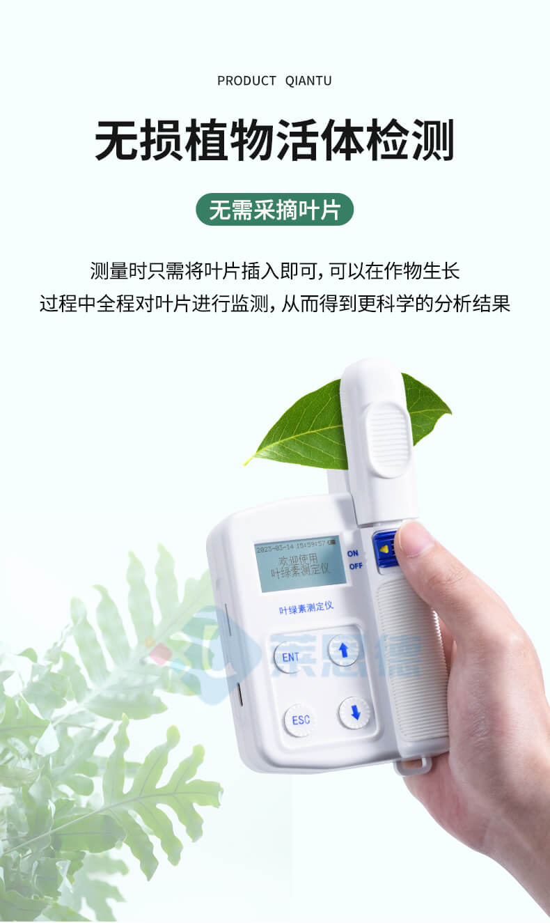 活體葉綠素測定儀